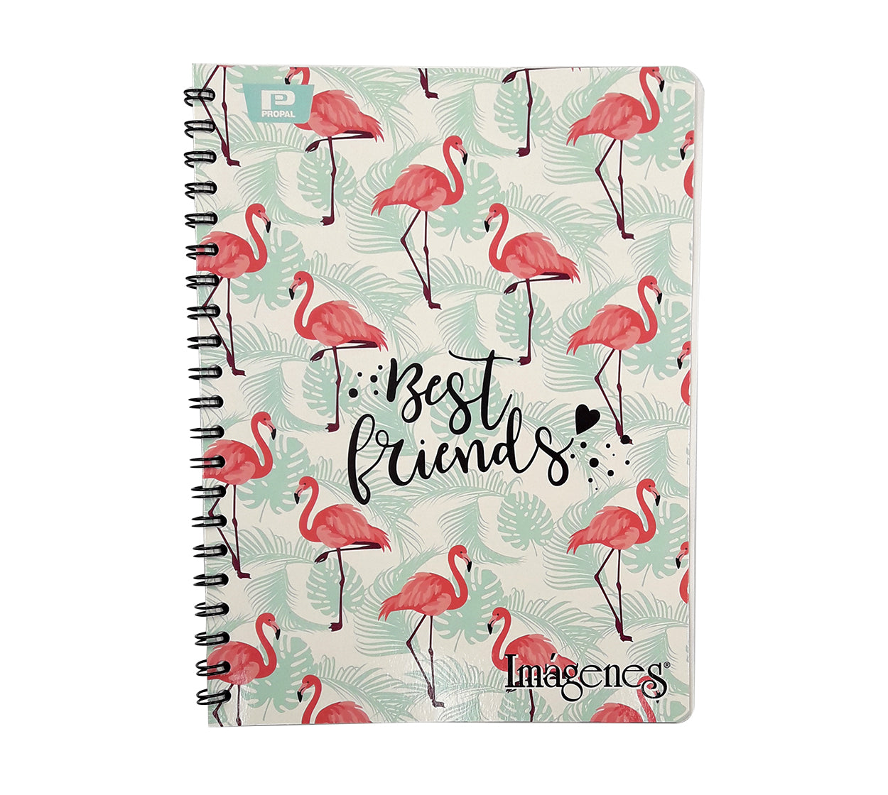 Cuaderno argollado 105-1 ray x 80 h