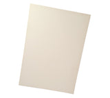 Carton escolar paja 1/2 pliego crema/blanco